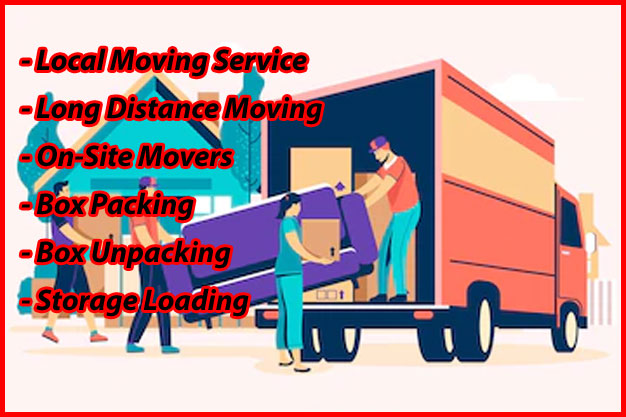 Packers And Movers Noida Sector 44